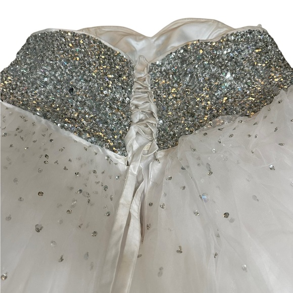 Gorgeous Used Wedding Gown - Picture 15 of 16